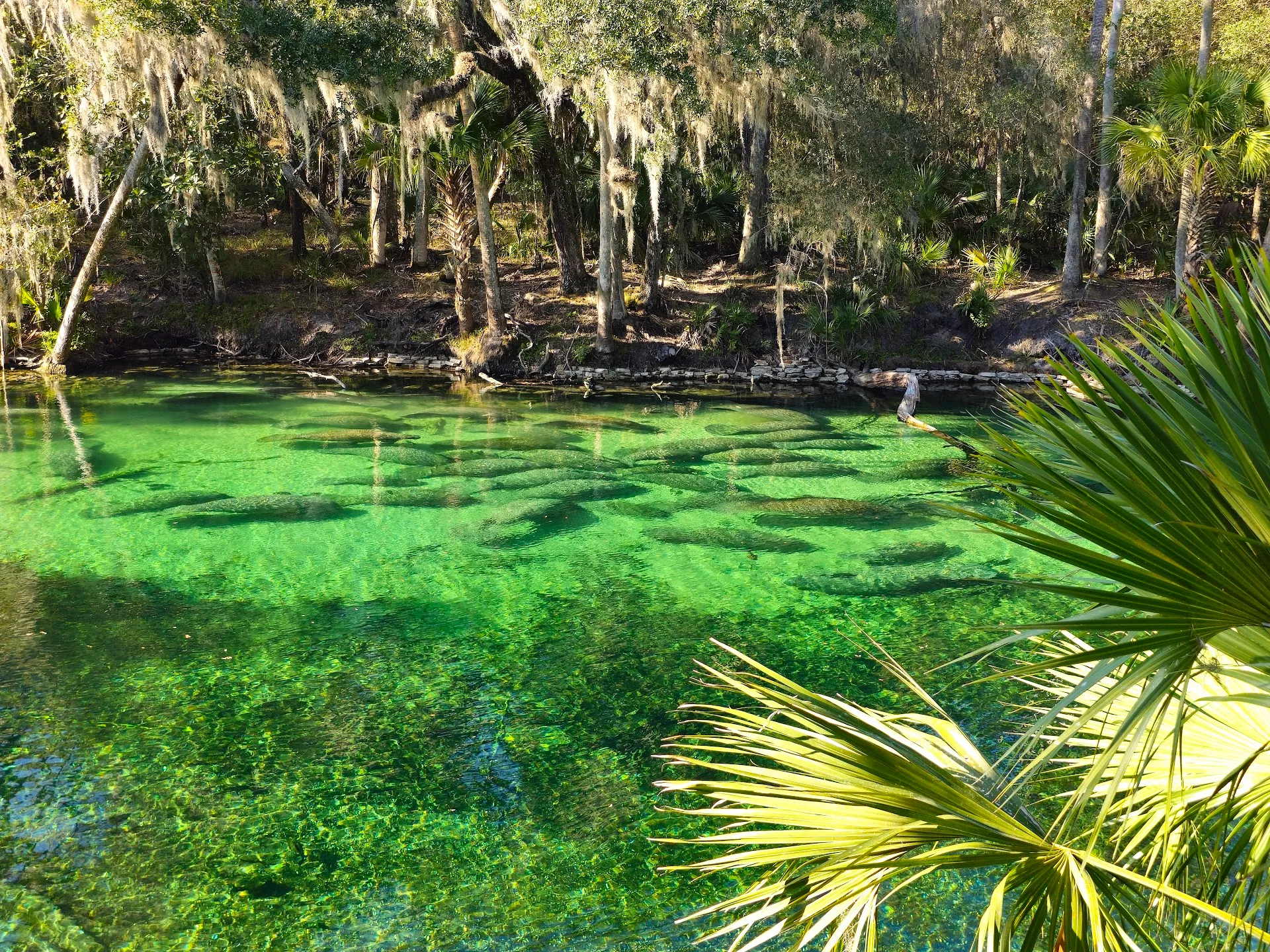Blue Spring State Park