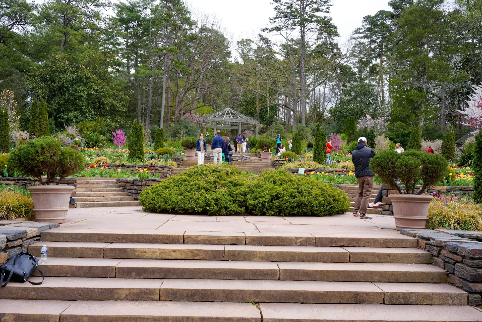 Sarah P. Duke Gardens