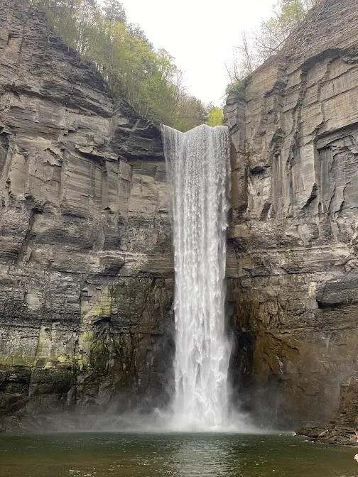 Penn Yan
