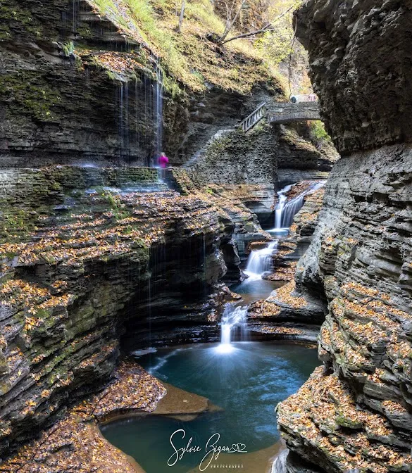 Penn Yan