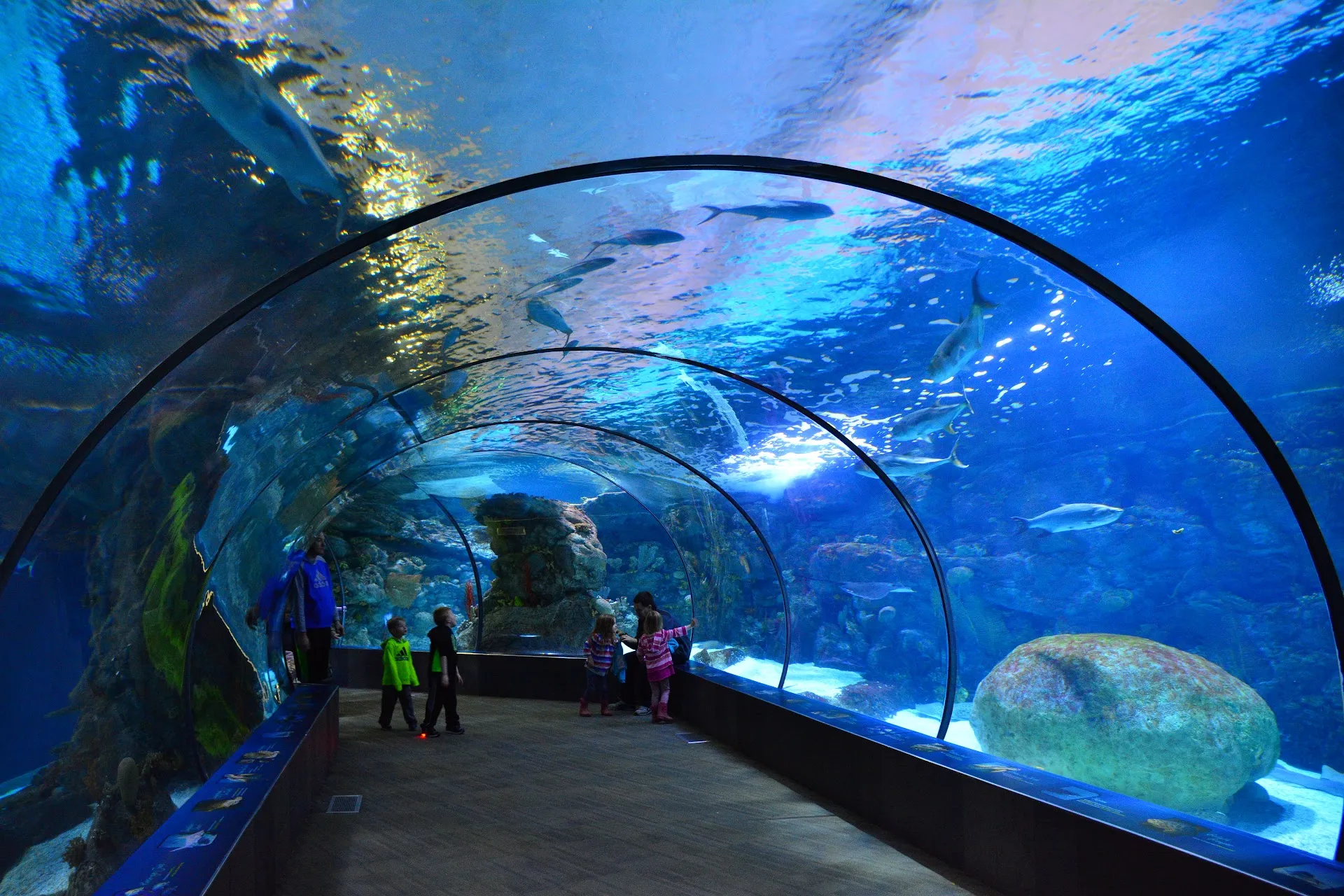 Omaha's Henry Doorly Zoo and Aquarium