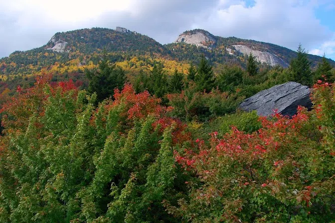 Boone