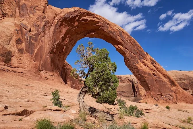 Moab