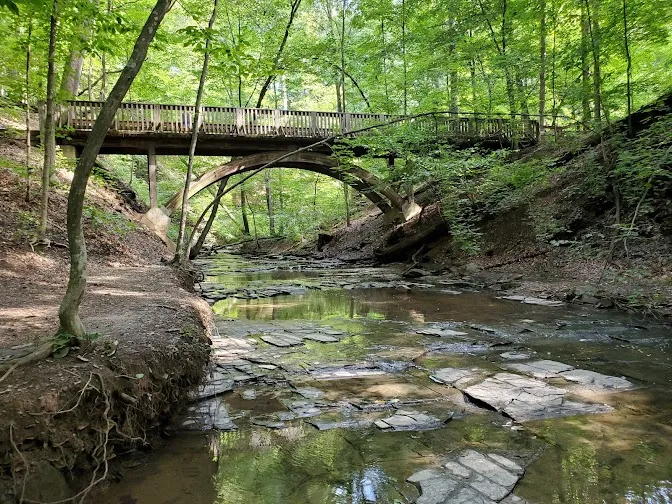 Mount Gilead
