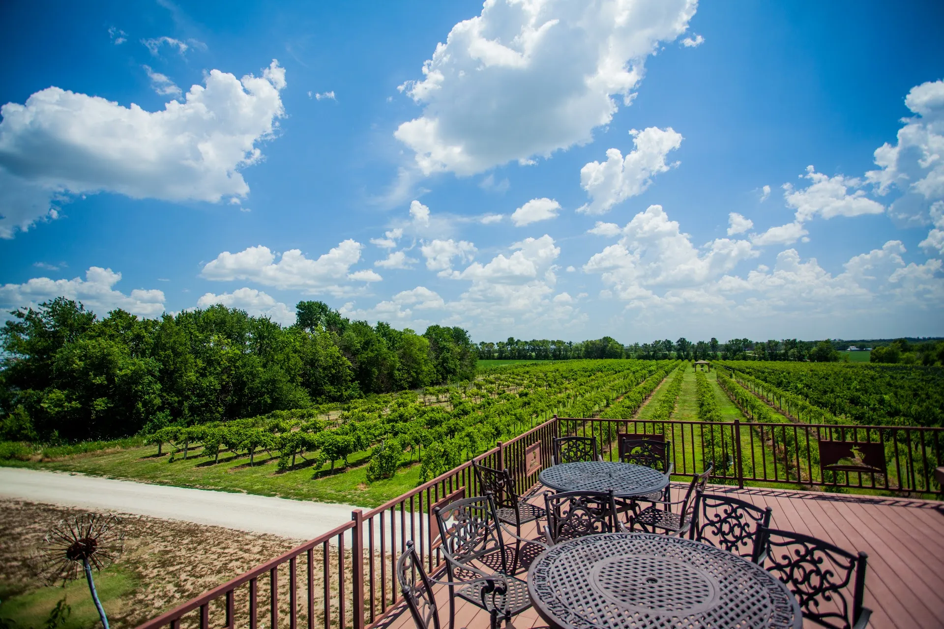 Grace Hill Winery