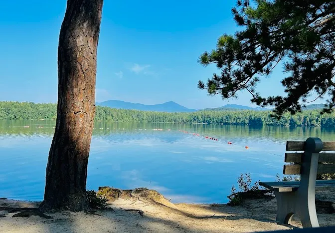 Laconia