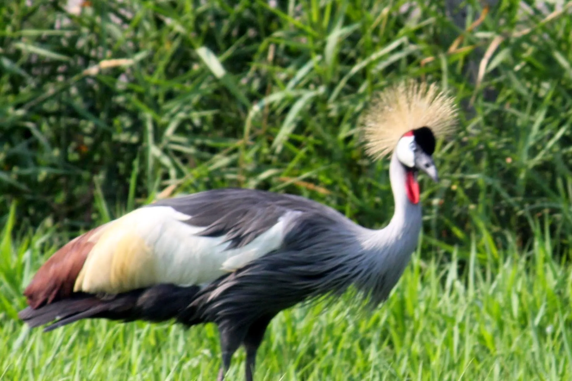 Hemker Park and Zoo