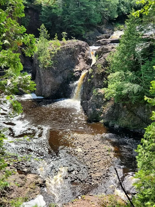 Ironwood