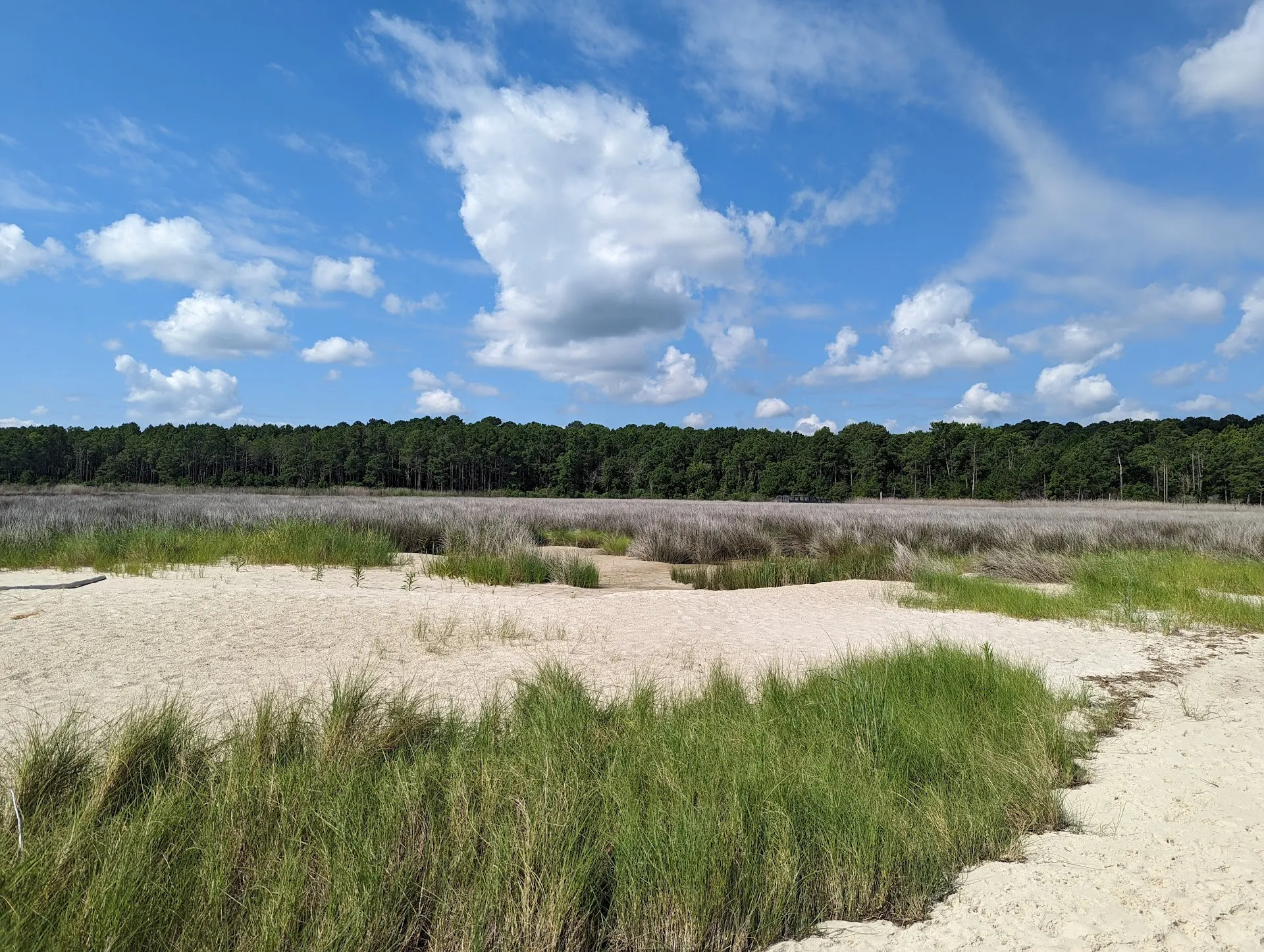 Hughlett Point Natural Area Preserve