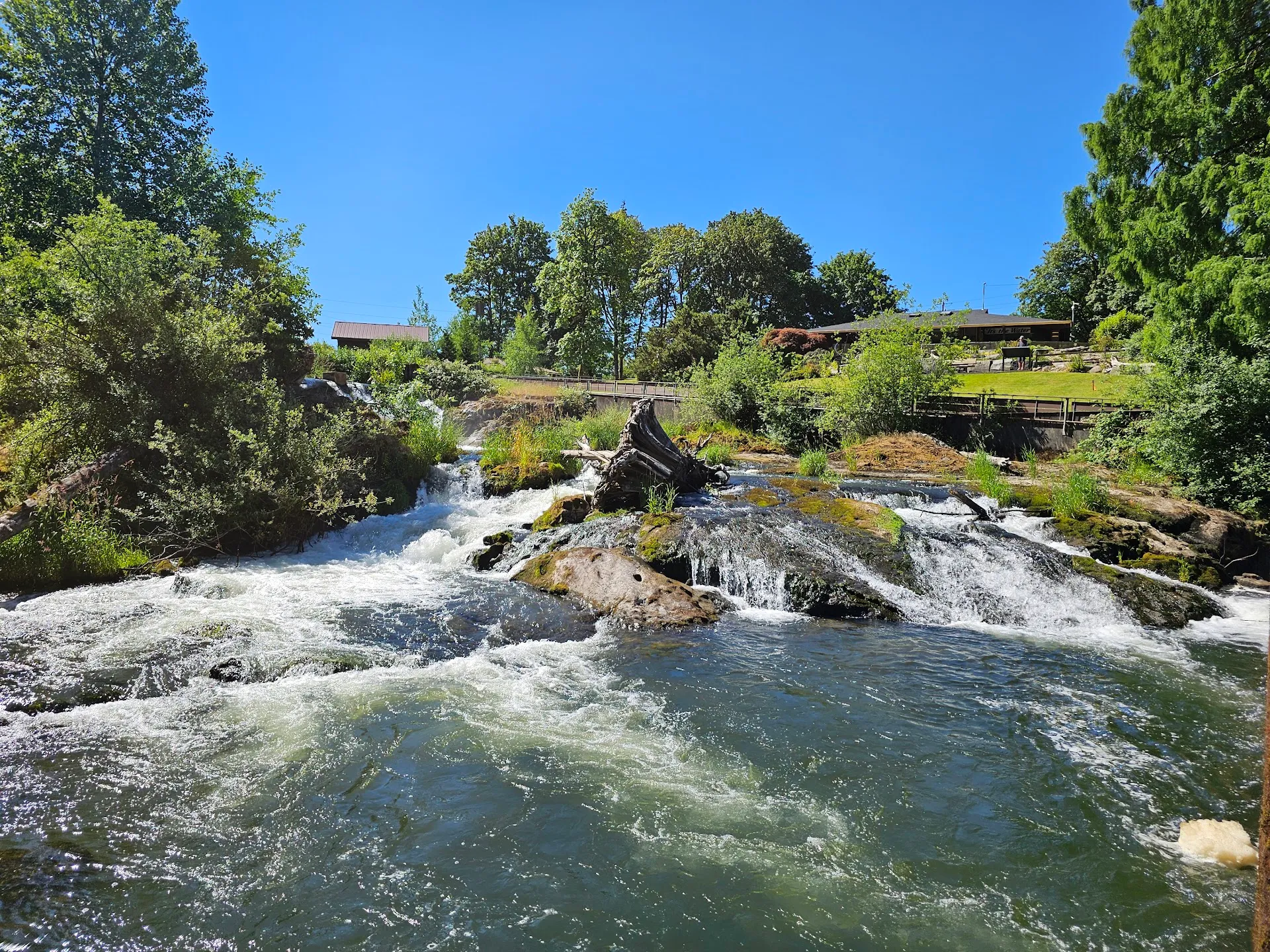 Tumwater Falls