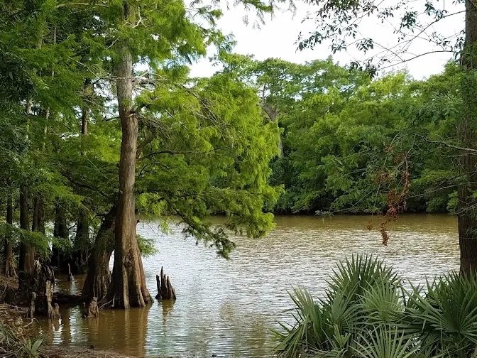 El Campo