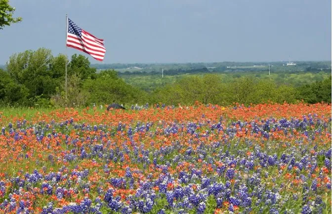 Corsicana