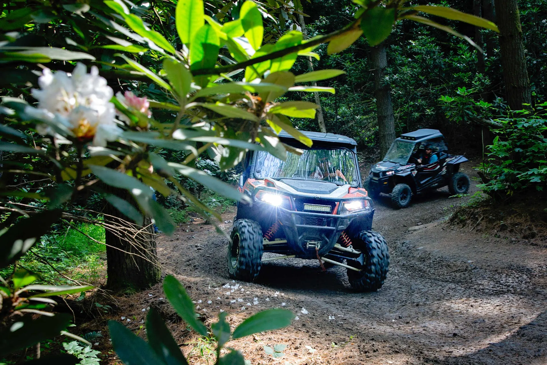 Hatfield-McCoy Trails