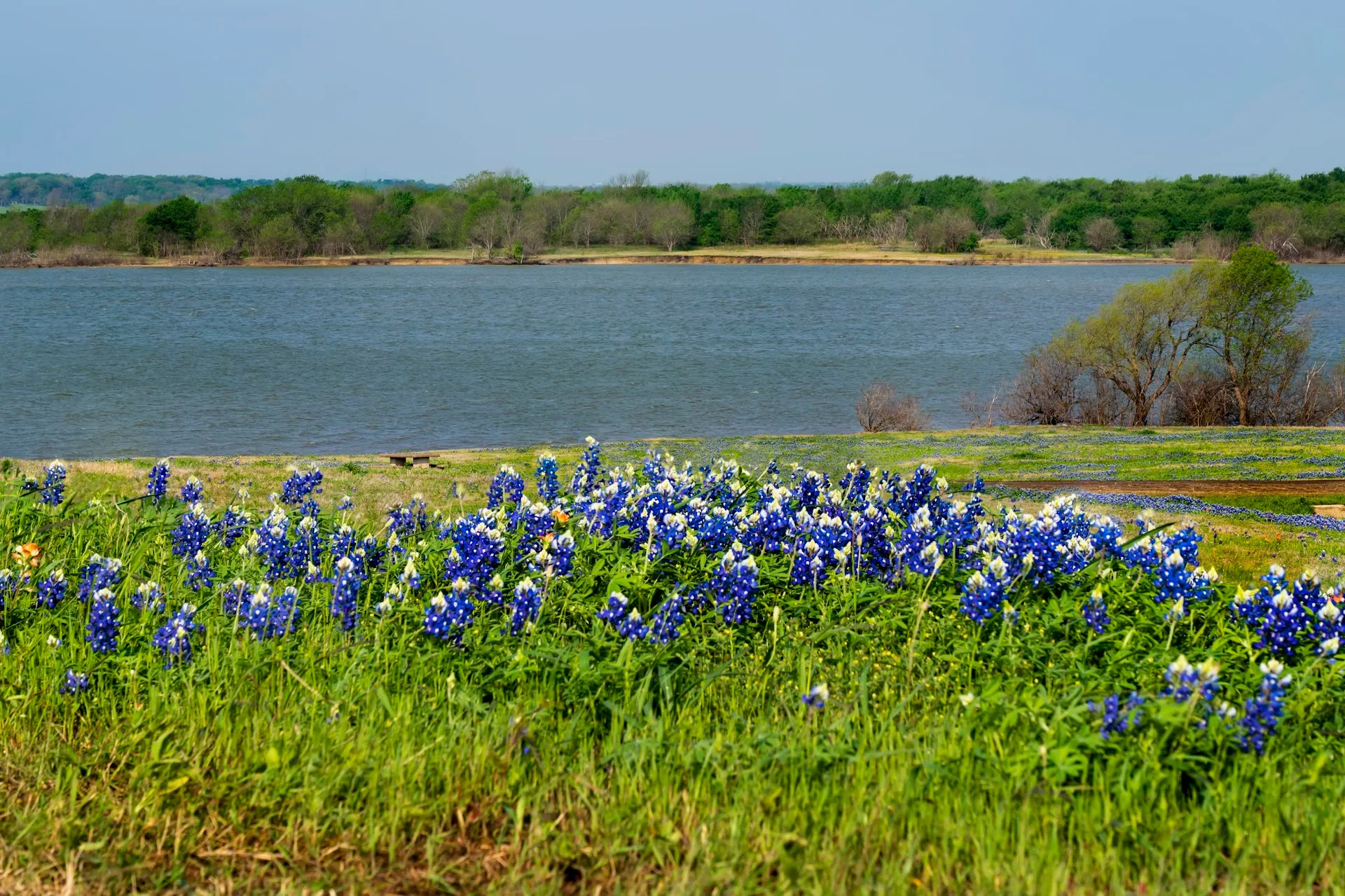 Meadow View Nature Area
