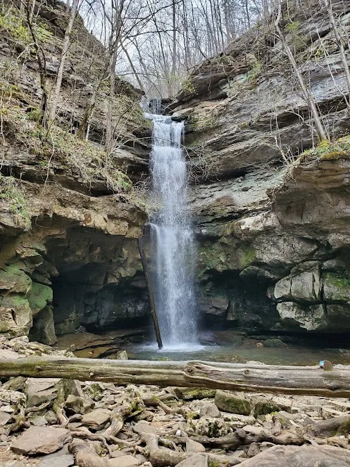 Cookeville