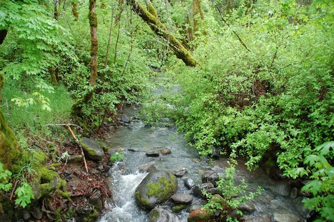 Clearlake