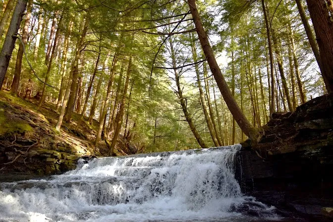 Binghamton