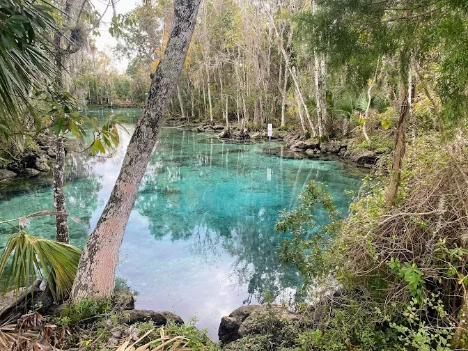 Brooksville