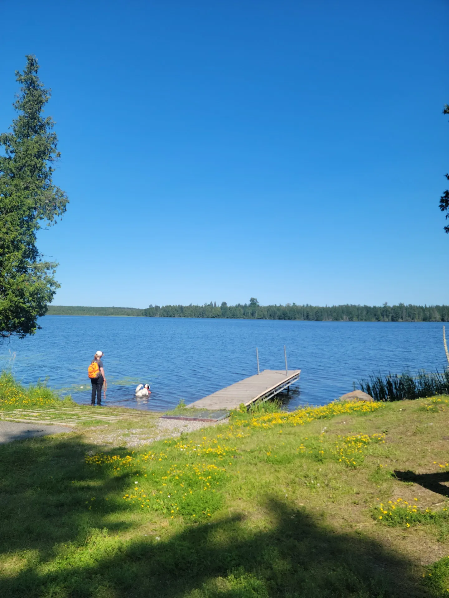 Scenic State Park