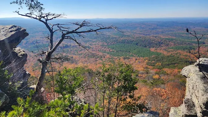 Anniston