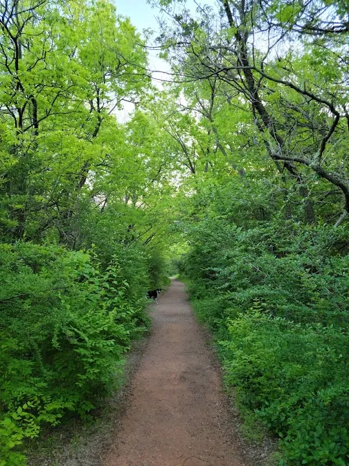 Shawnee