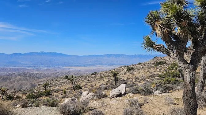 Indio