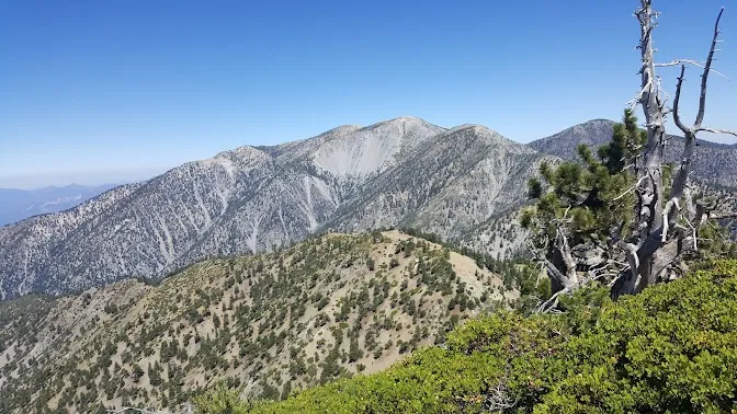 Palmdale