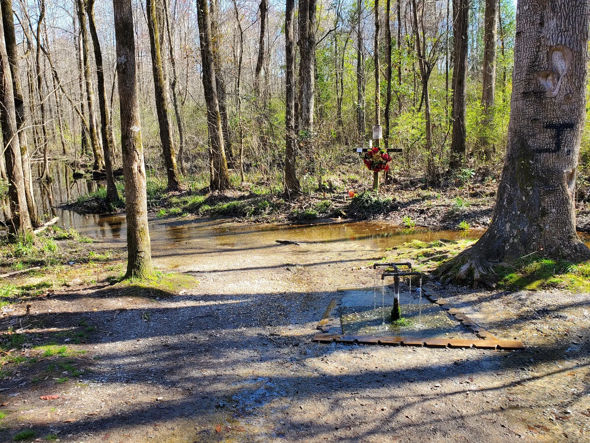 Aiken
