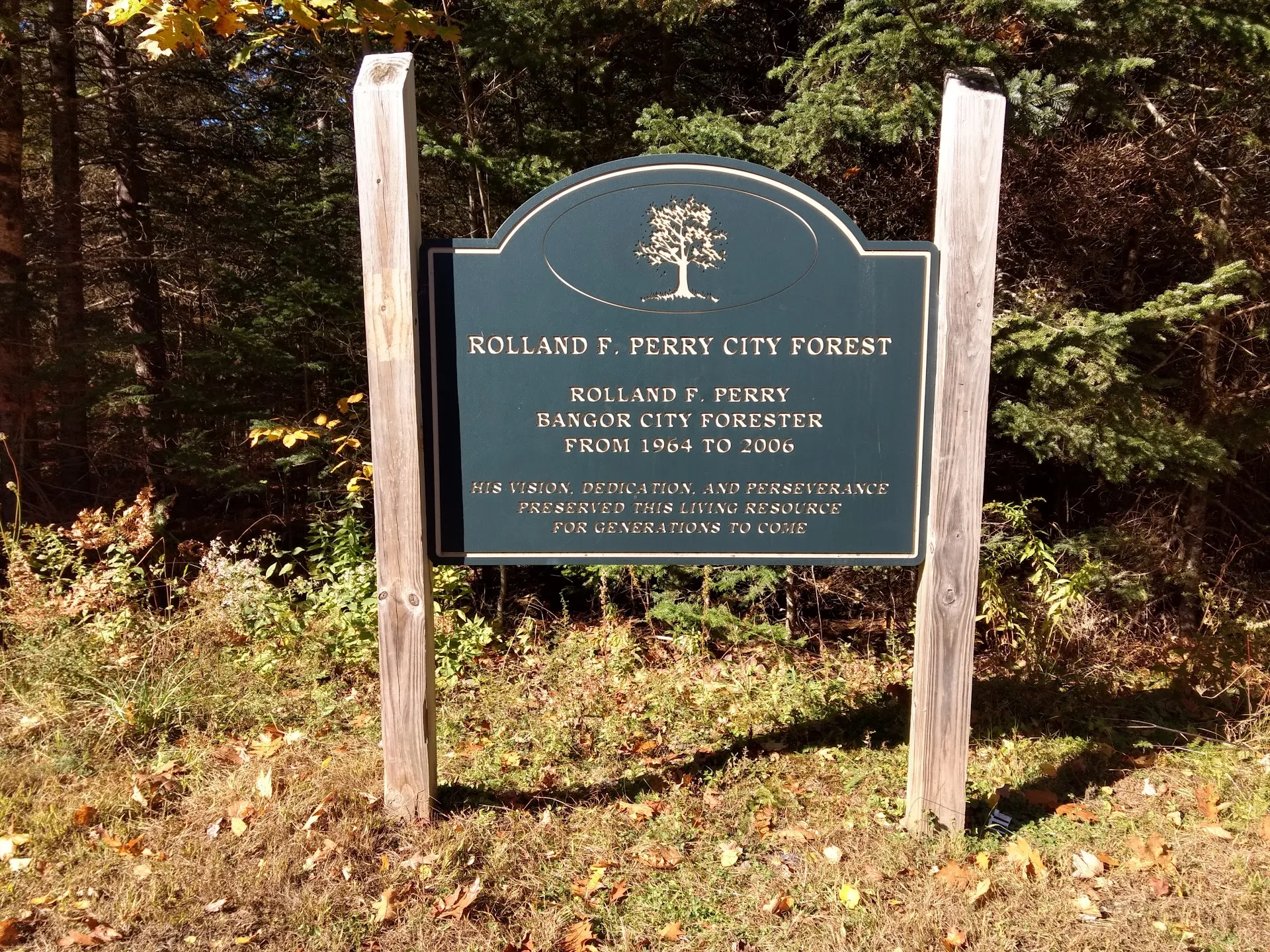 Bangor City Forest