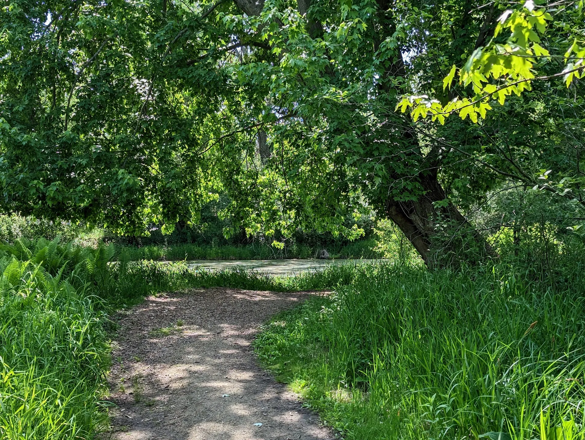 Bubolz Nature Preserve