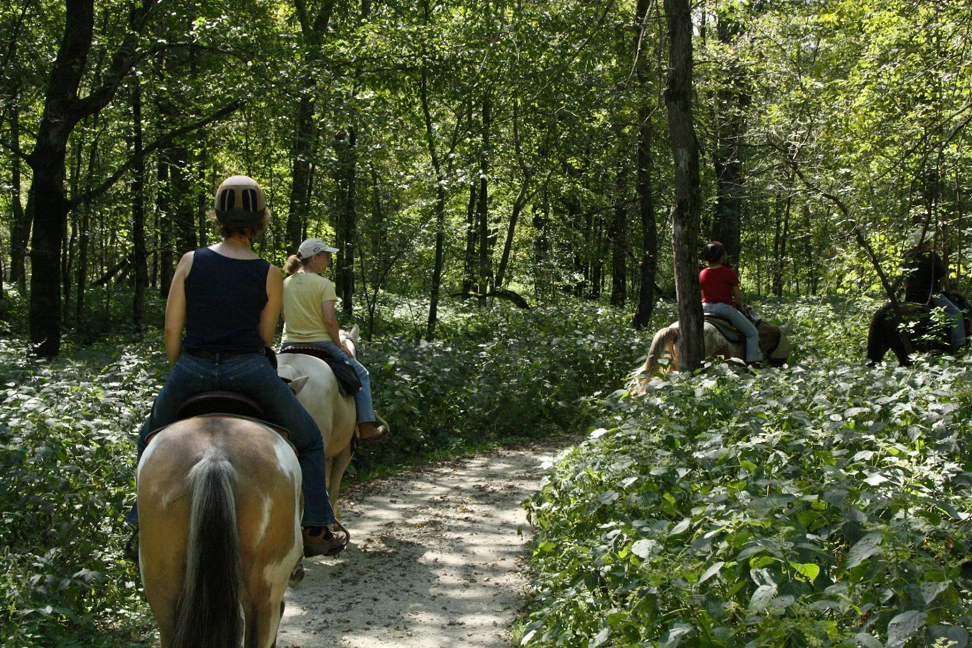 Forestville State Park Office