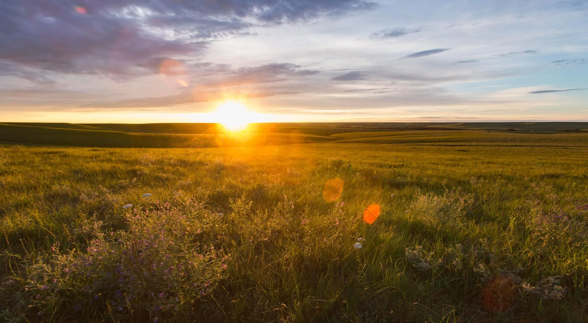 Tallgrass Prairie National Preserve