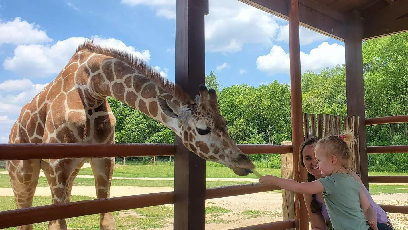 Safari Lake Geneva (online reservations required)