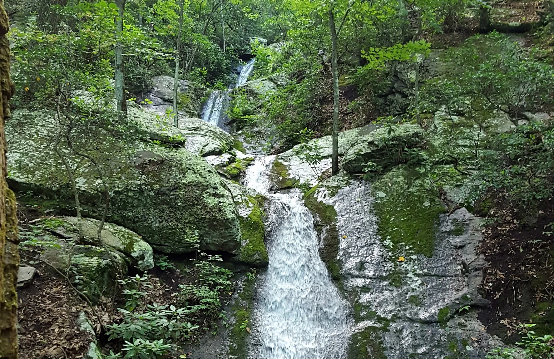 Douthat State Park