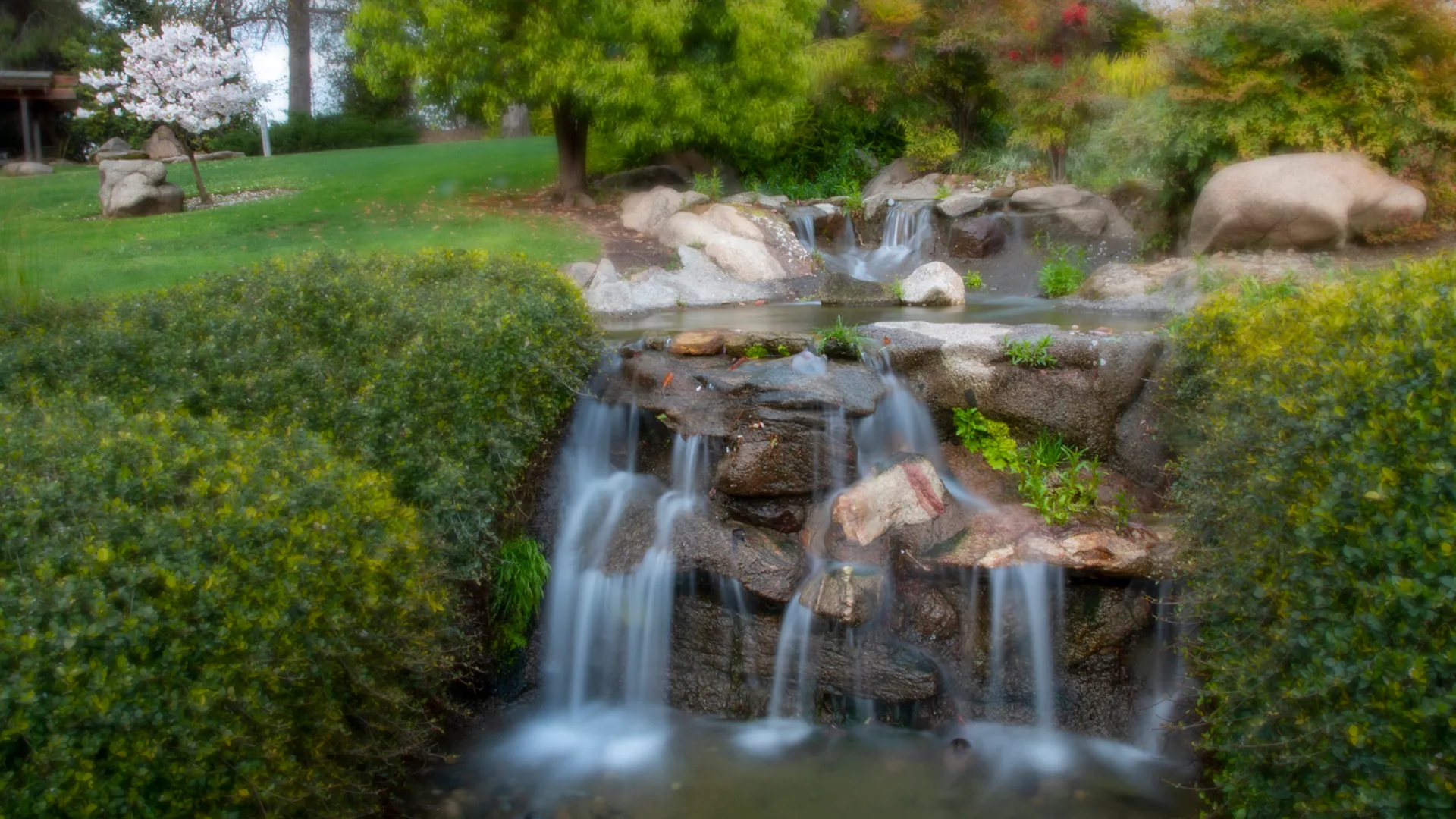 Shinzen Friendship Garden Inc.