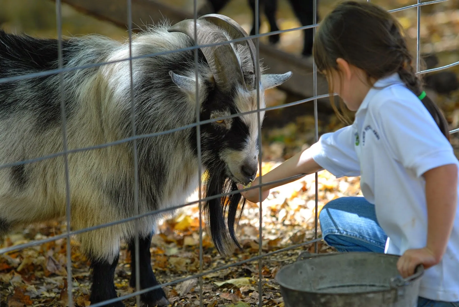 Christian Way Farm & Mini Golf