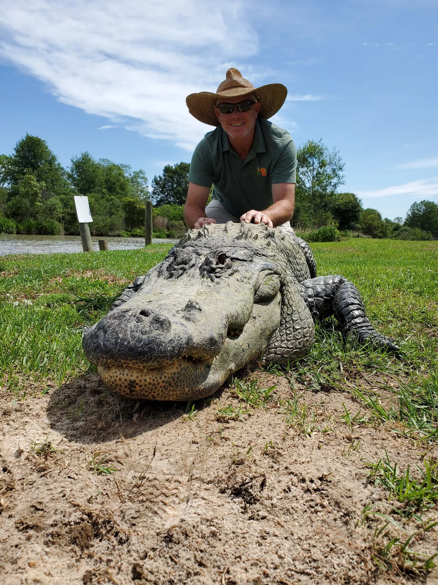 Alligator Alley