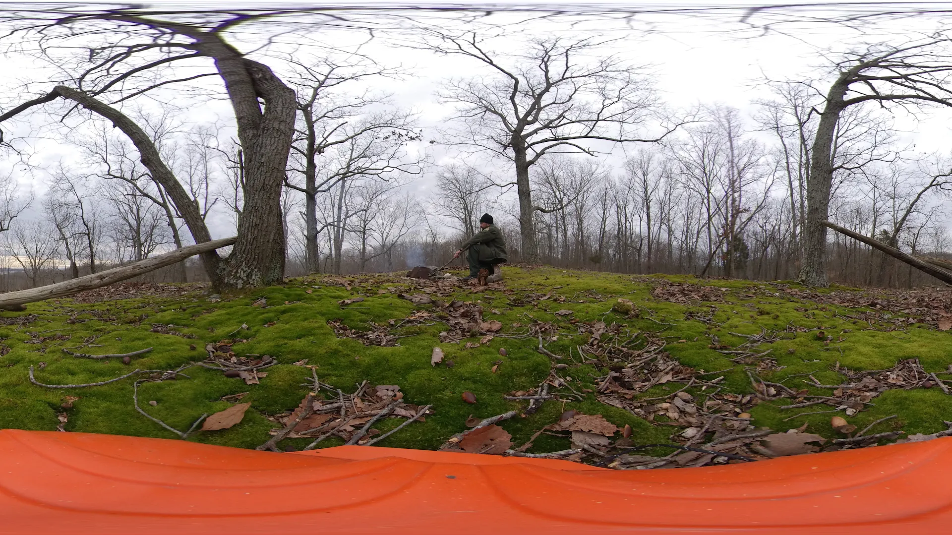 Nathan Bedford Forrest State Park