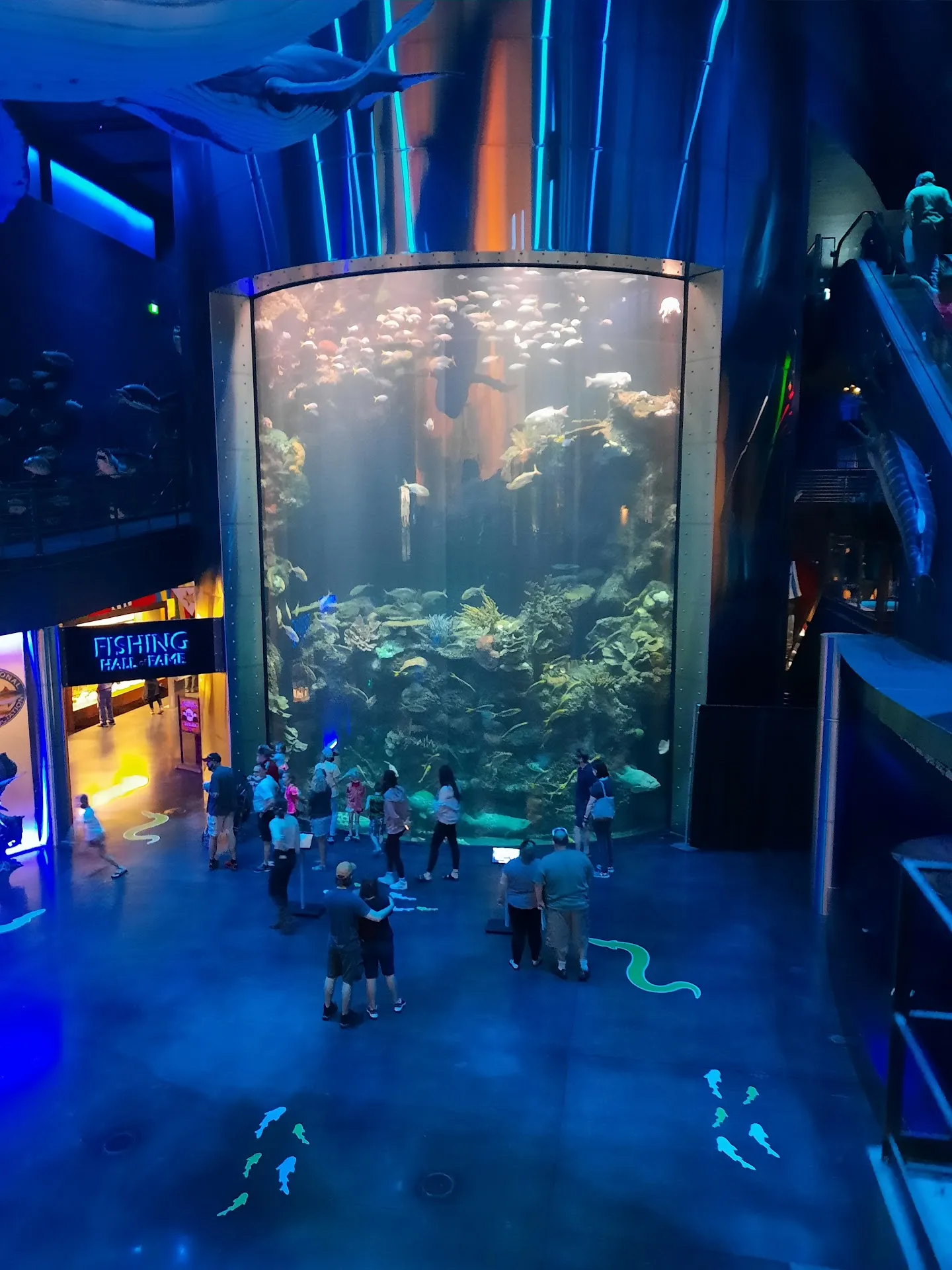Wonders Of Wildlife National Museum & Aquarium