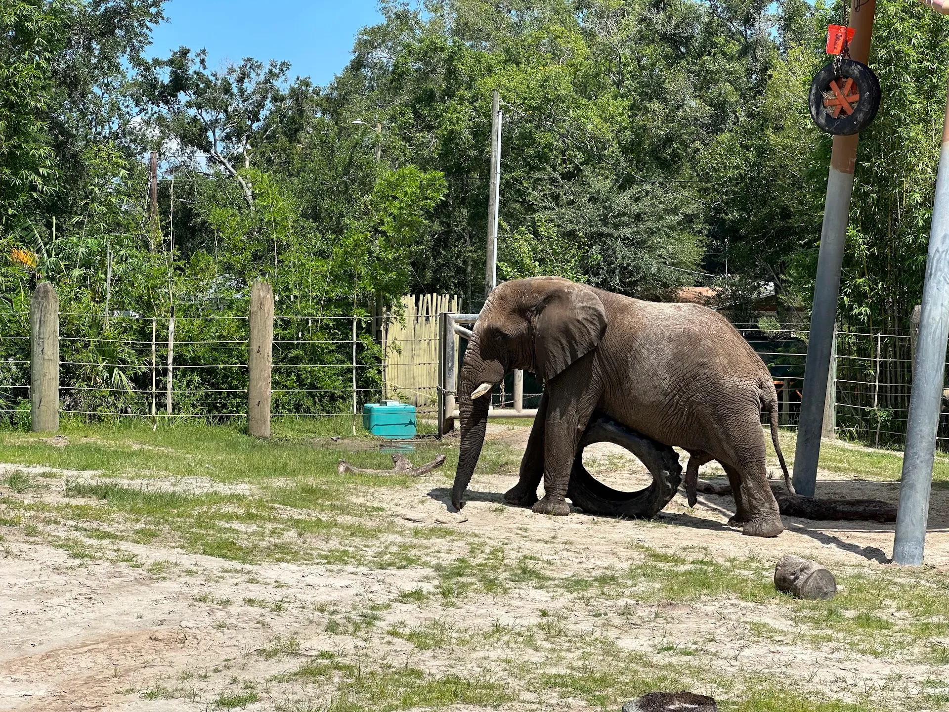 ZooTampa at Lowry Park