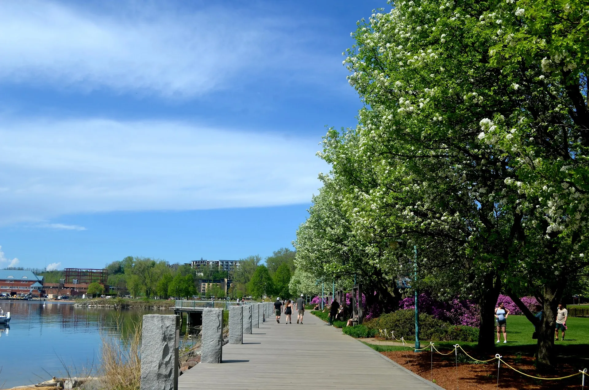 Waterfront Park