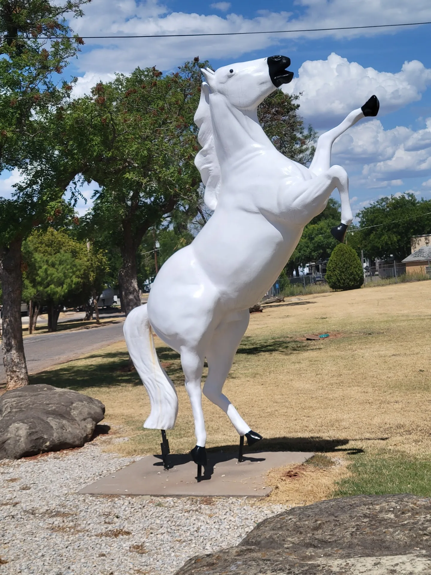 Wichita Falls RV Park