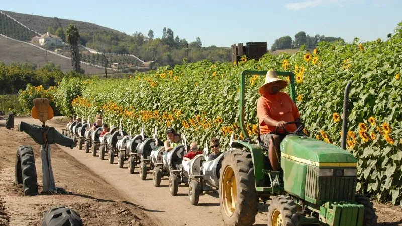Underwood Family Farms