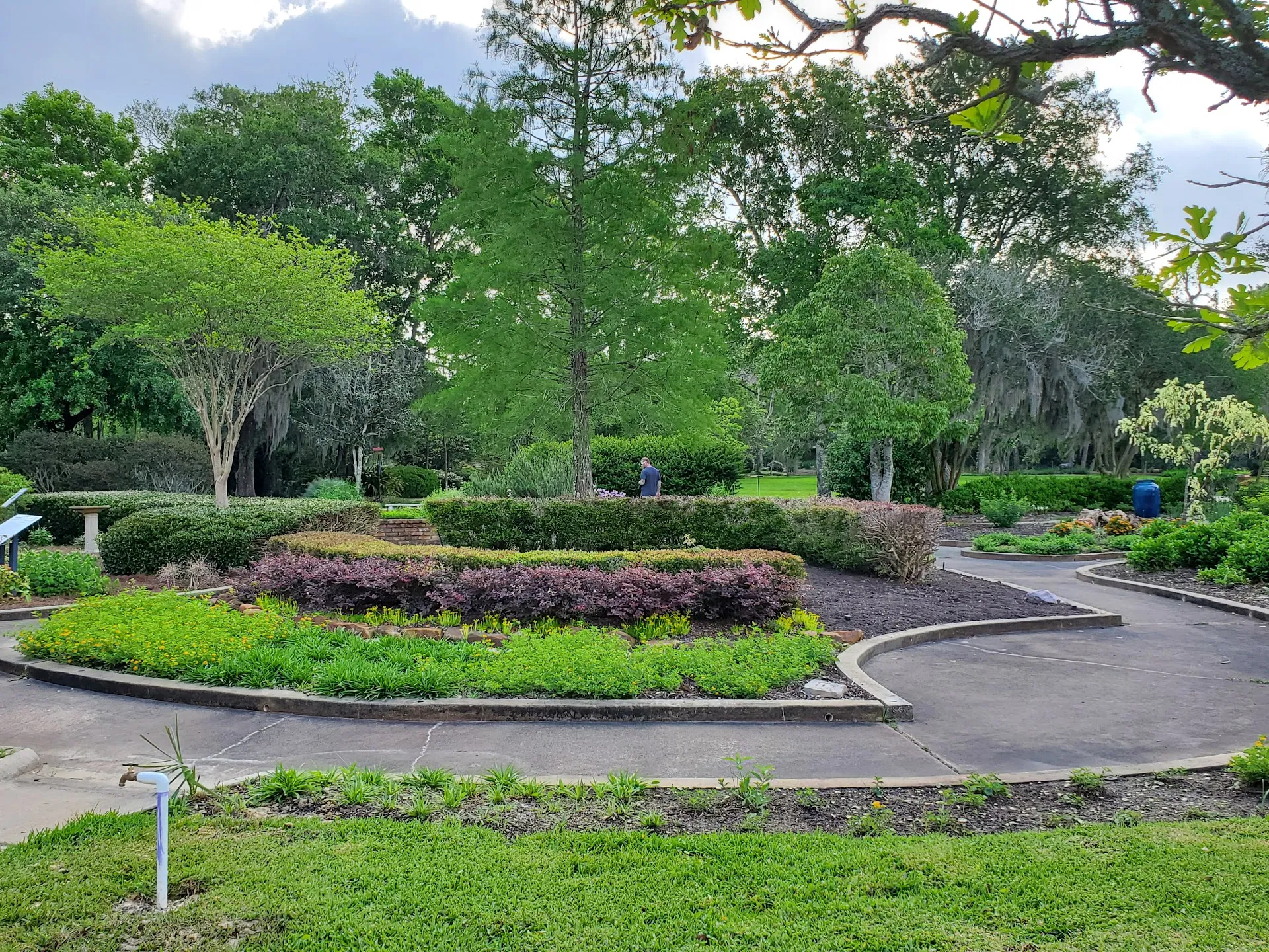 Tyrrell Park