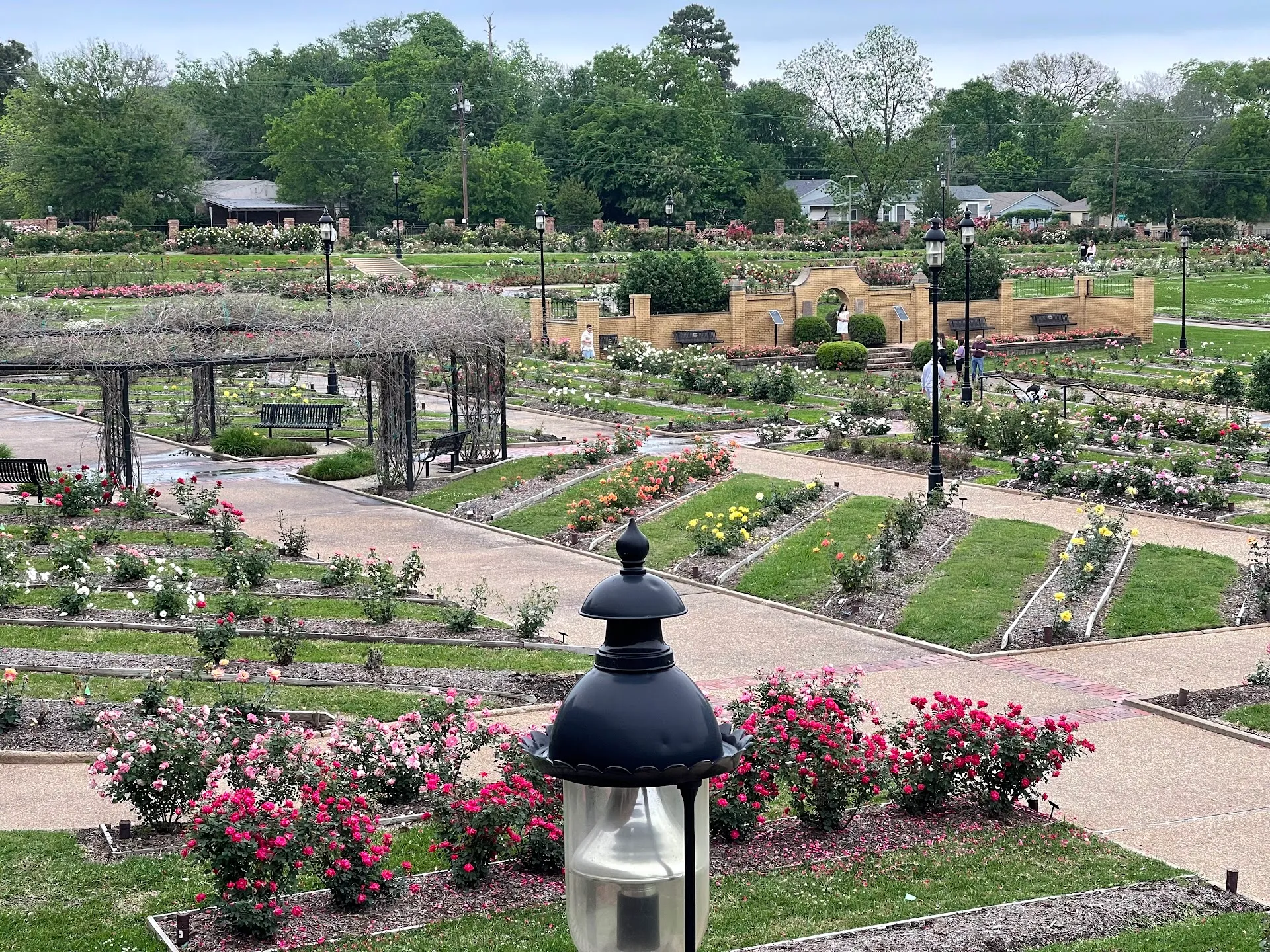 Tyler Rose Garden