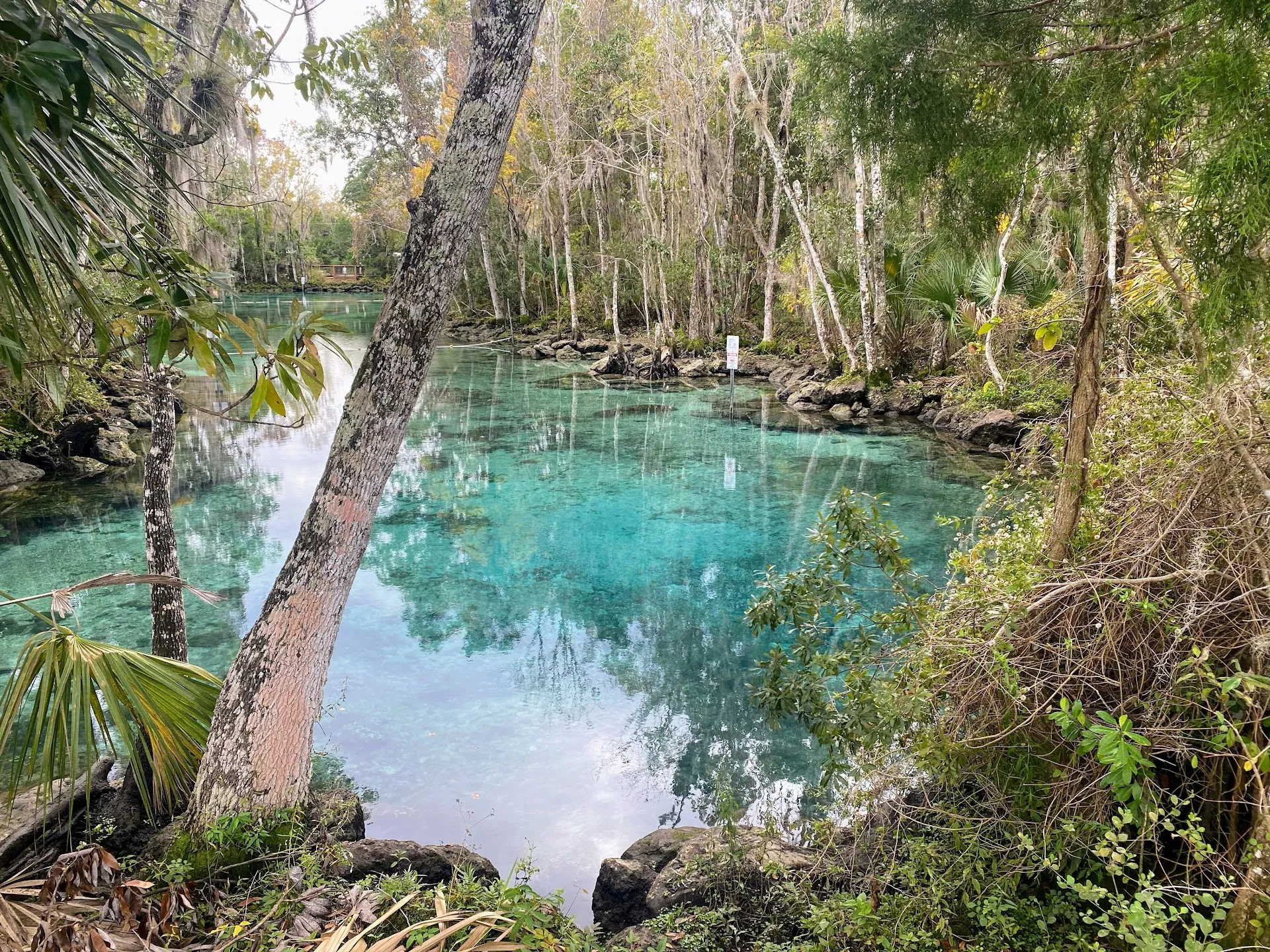 Three Sisters Springs