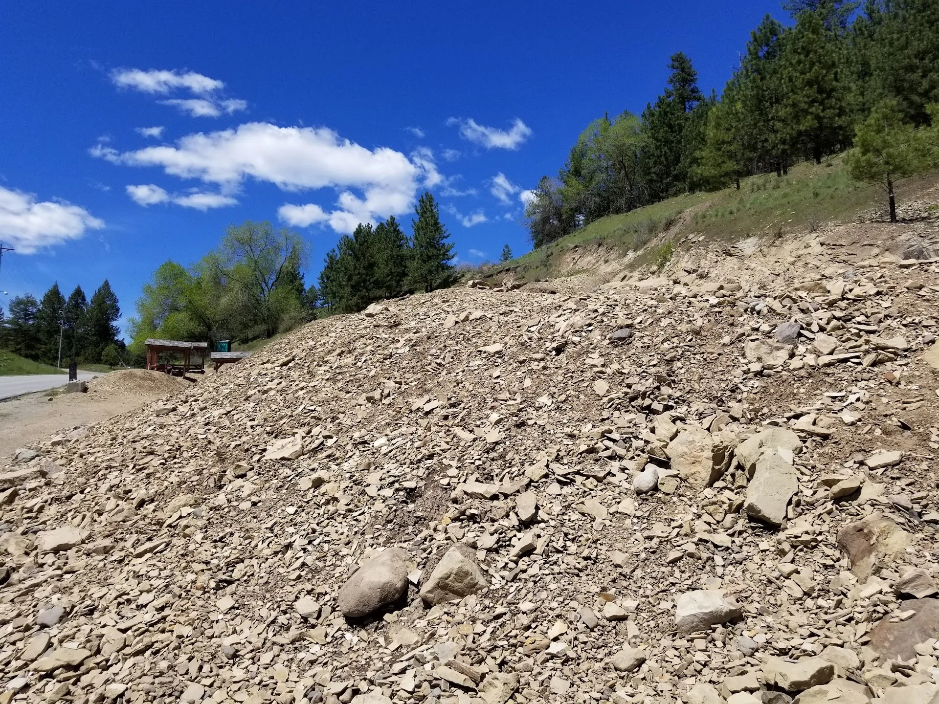 Stonerose Interpretive Center & Eocene Fossil Site