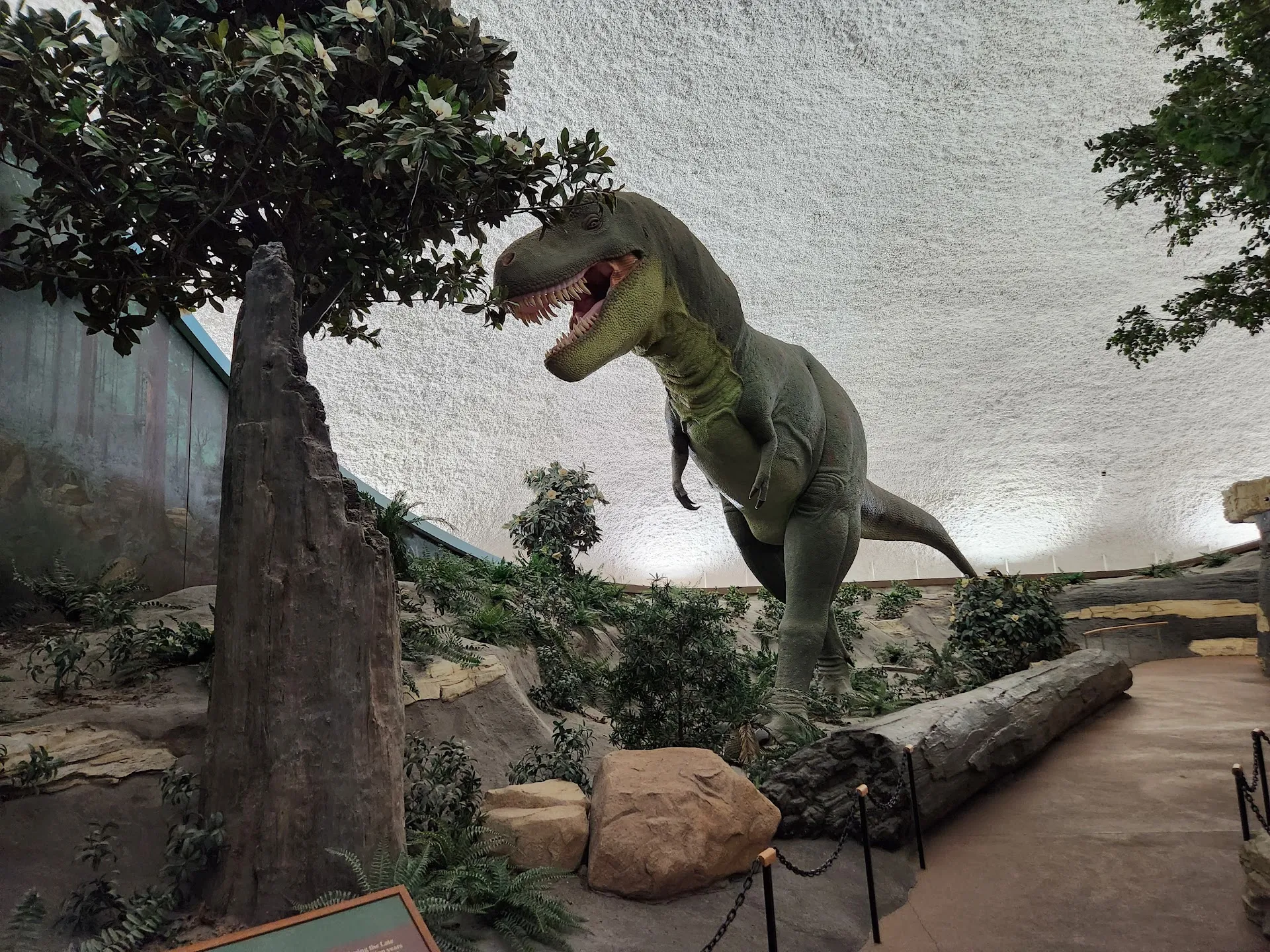 Sternberg Museum of Natural History