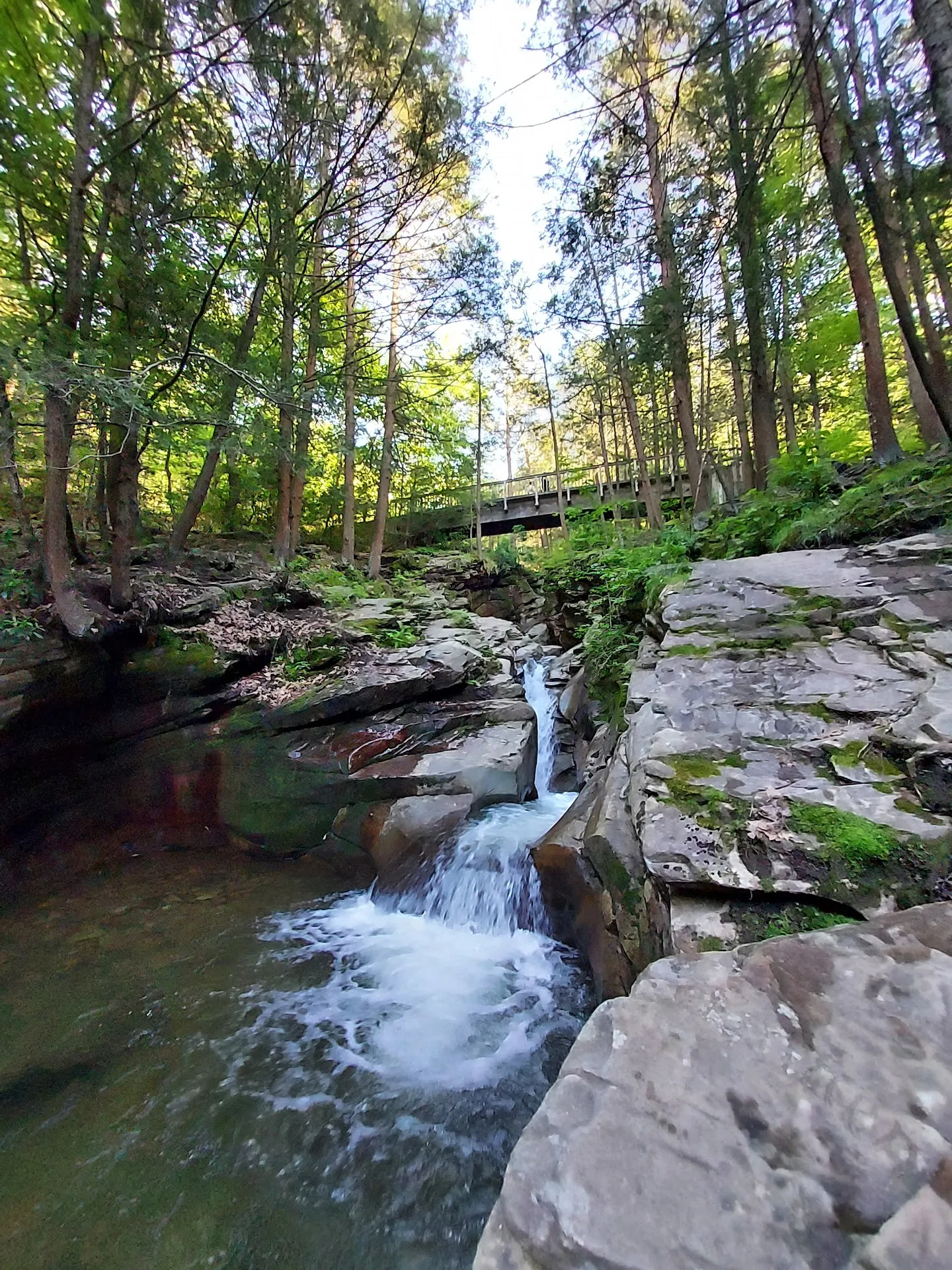 Seven Tubs Recreation Area - Pinchot Forest District
