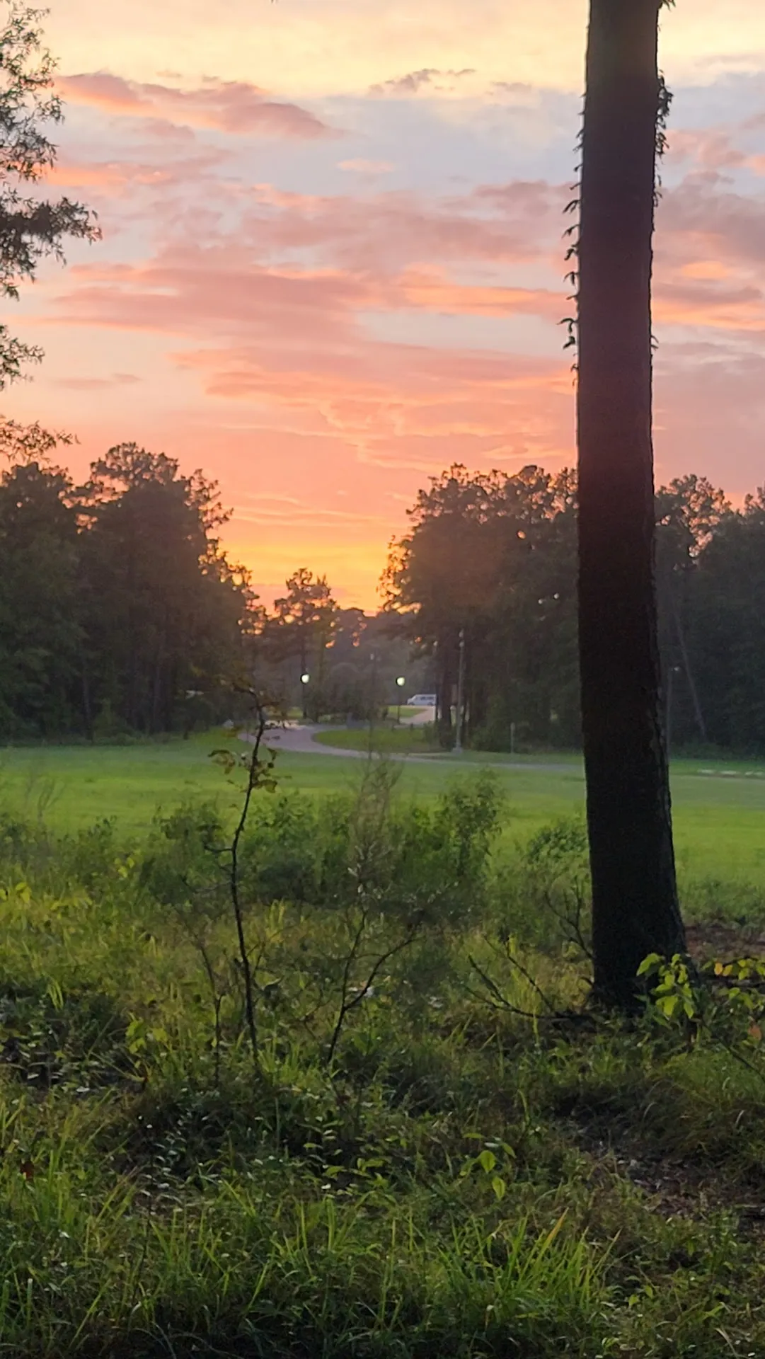 Parc Natchitoches